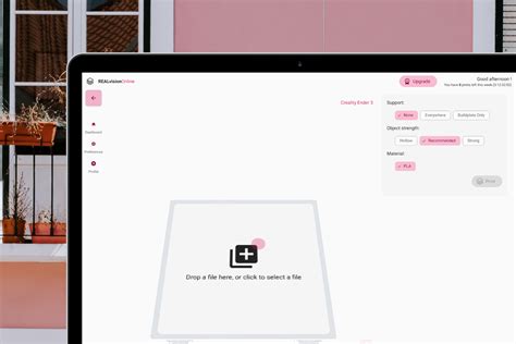 REALvision Online: The easy.
